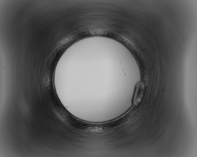 X0000083530687200703021553