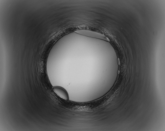 X0000083530689200703021553