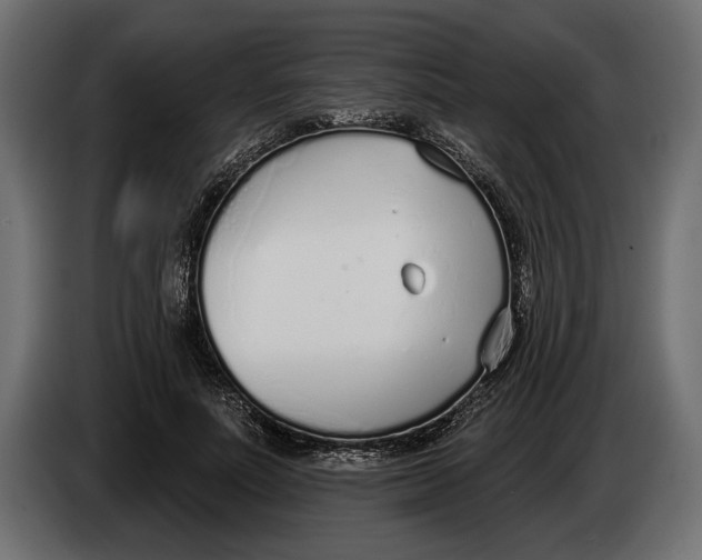 X0000083530691200703021553