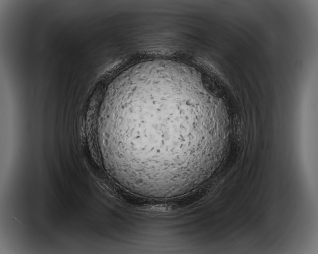 X0000083530692200703021553