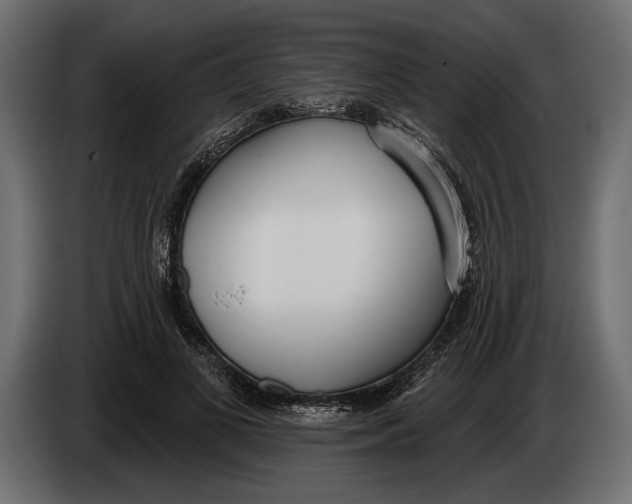 X0000083530693200703021553