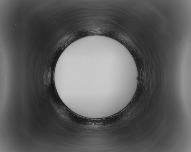 X0000083530694200703021553