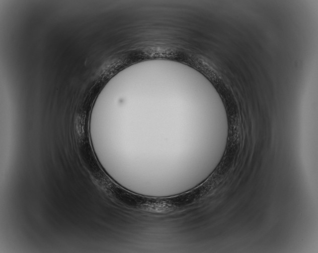 X0000083530695200703021553