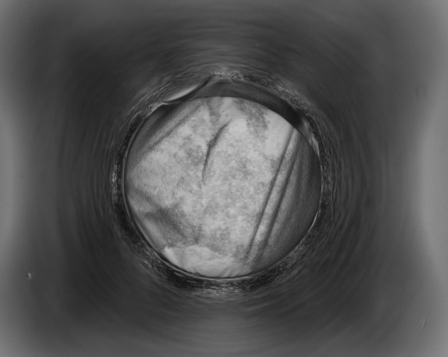 X0000083530696200703021553