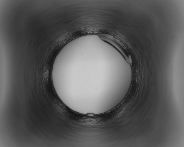 X0000083530697200703021553