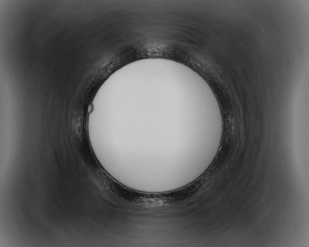 X0000083530698200703021553