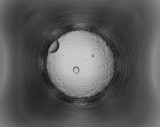 X0000083530699200703021553