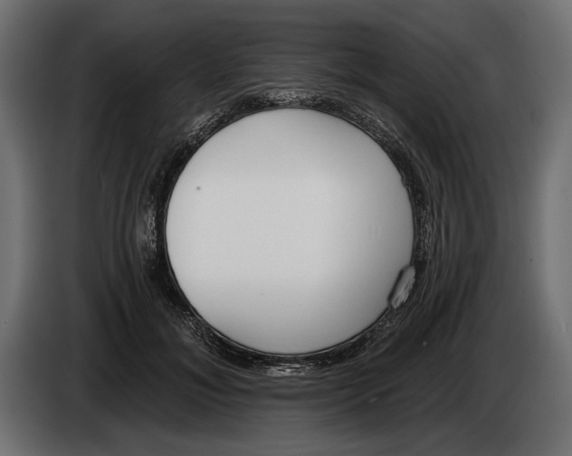 X0000083530700200703021552