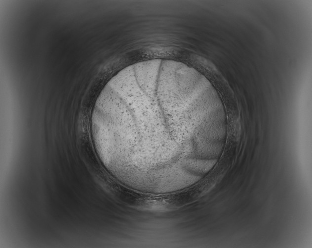 X0000083530701200703021552