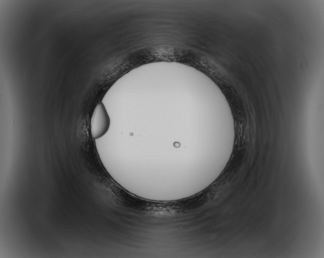 X0000083530702200703021552