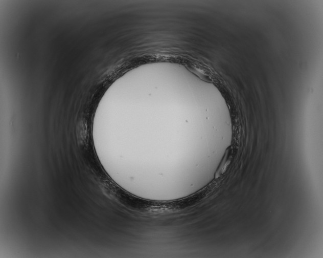 X0000083530704200703021552