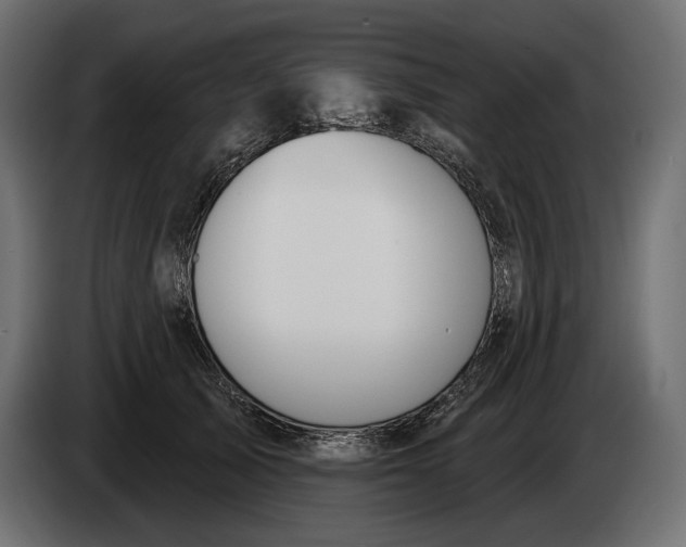 X0000083530705200703021552