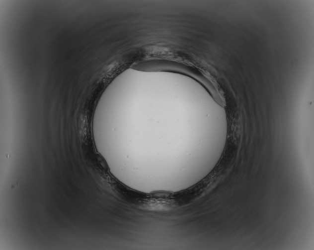 X0000083530708200703021552