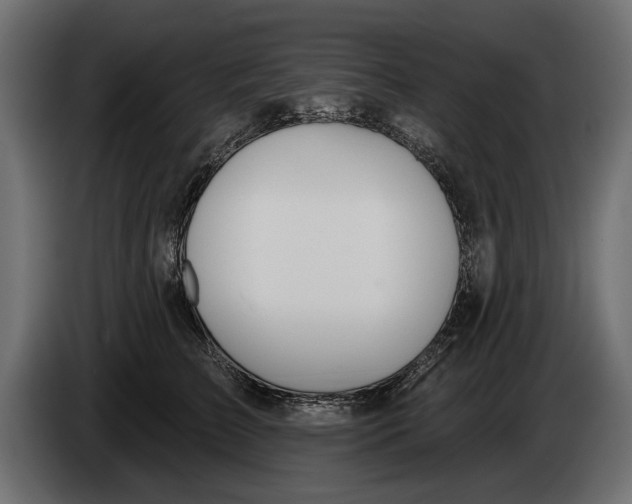 X0000083530709200703021552