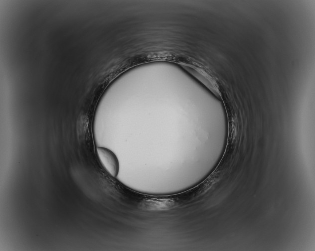 X0000083530711200703021552