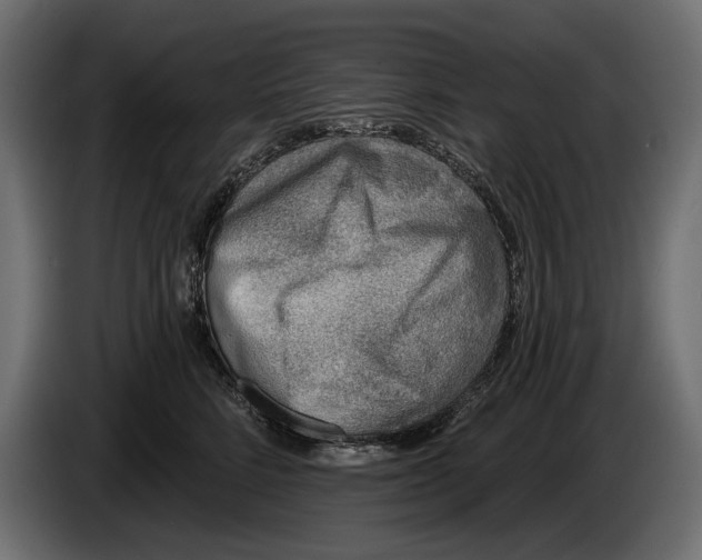 X0000083530712200703021552