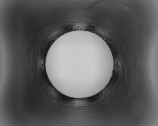 X0000083530714200703021552