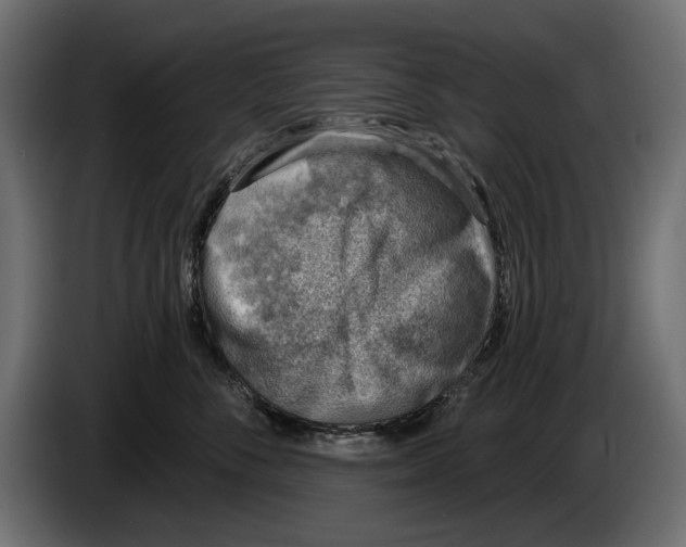 X0000083530716200703021552