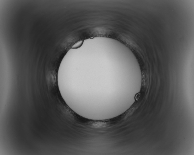 X0000083530718200703021552