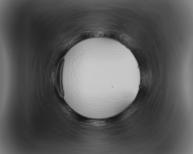 X0000083530719200703021552