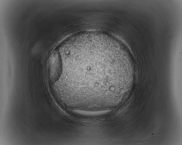 X0000083530721200703021551