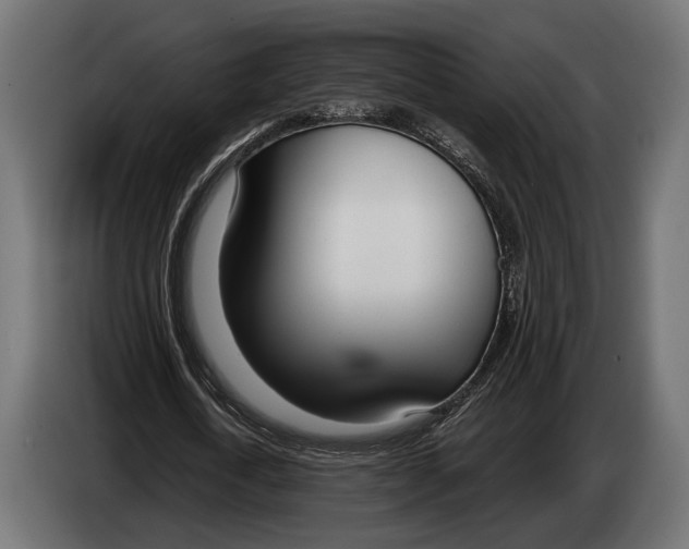 X0000083530722200703021551