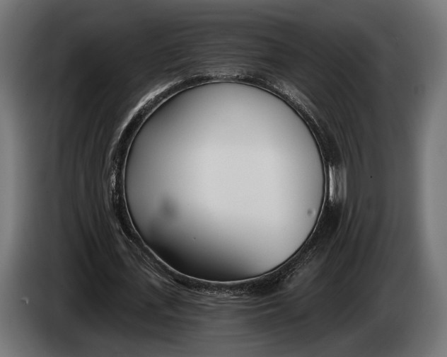 X0000083530723200703021551