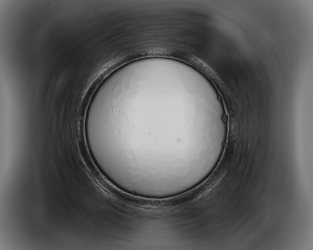 X0000083530725200703021551