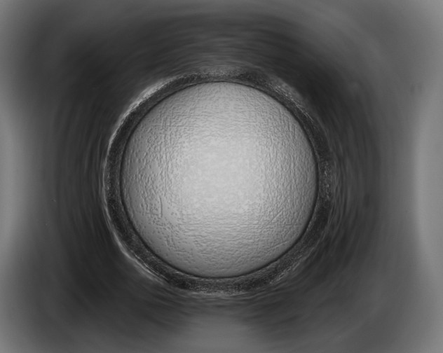 X0000083530726200703021551