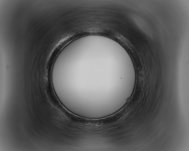 X0000083530727200703021551