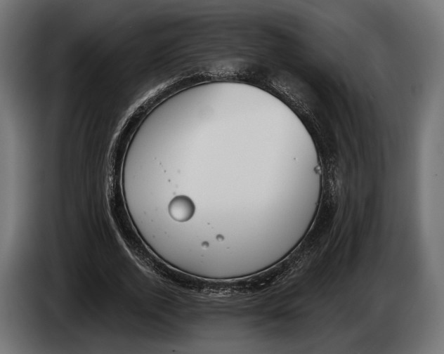 X0000083530728200703021551