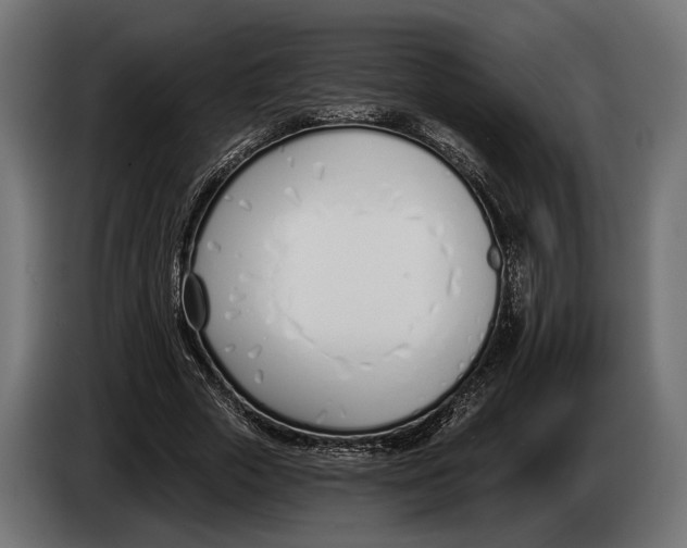 X0000083530729200703021551