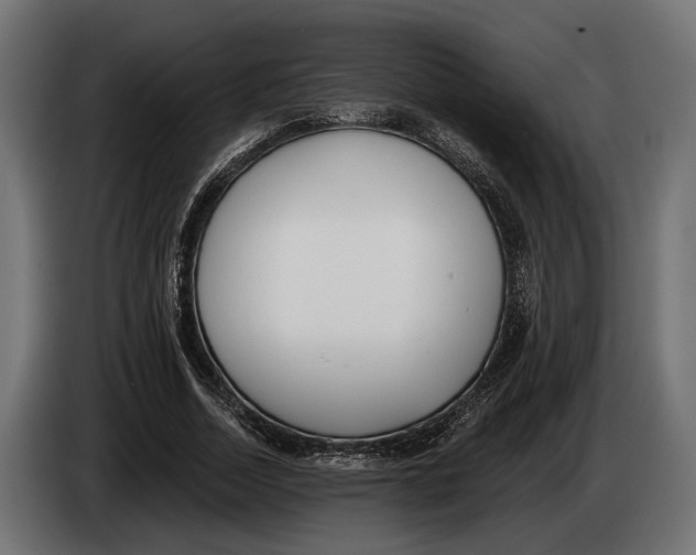 X0000083530730200703021551