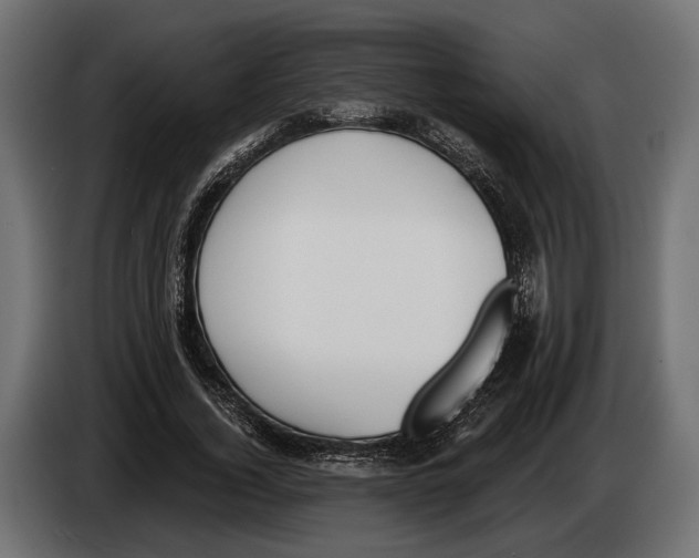 X0000083530732200703021551