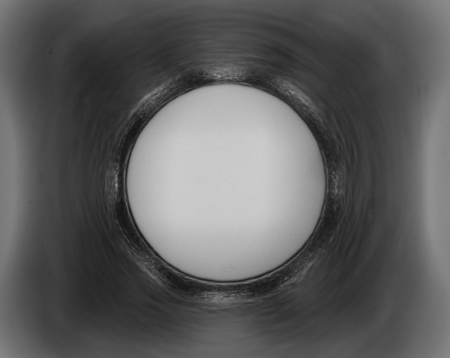 X0000083530733200703021551