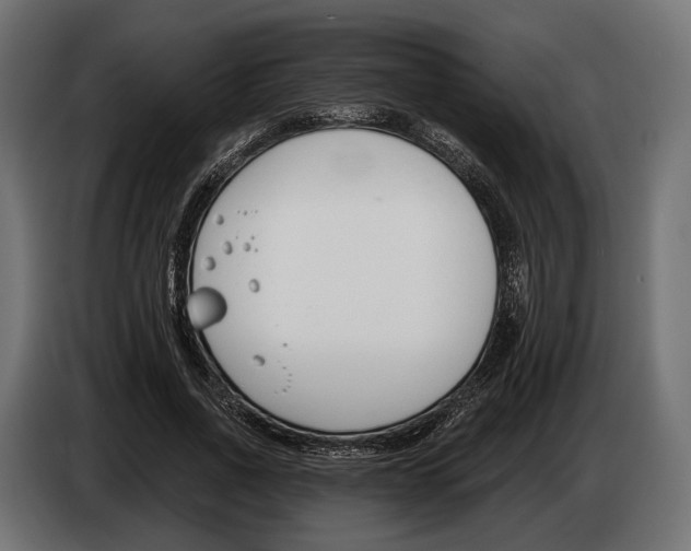 X0000083530734200703021552