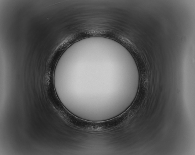 X0000083530735200703021552