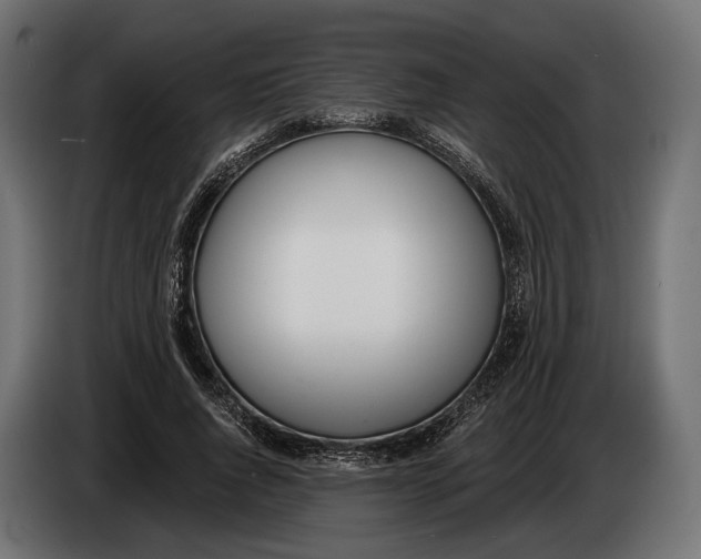 X0000083530736200703021552