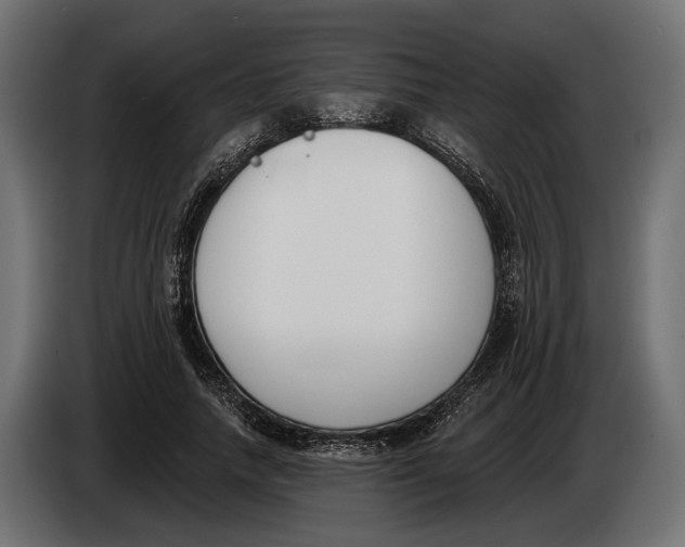 X0000083530738200703021552