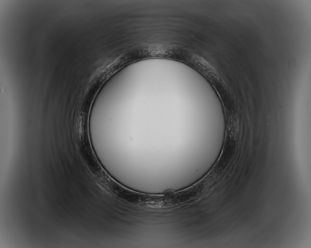 X0000083530740200703021552