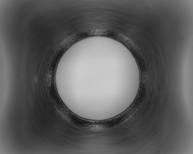 X0000083530741200703021552