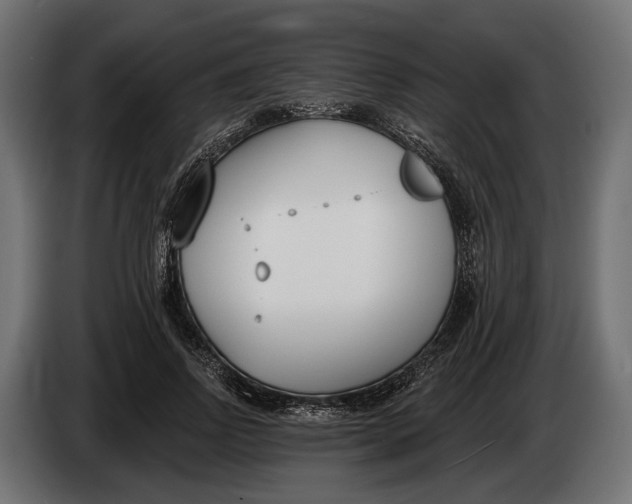 X0000083530742200703021552