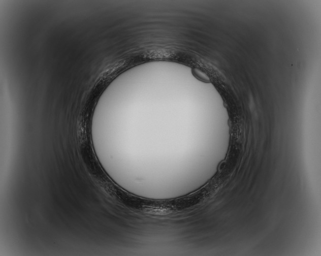 X0000083530743200703021552