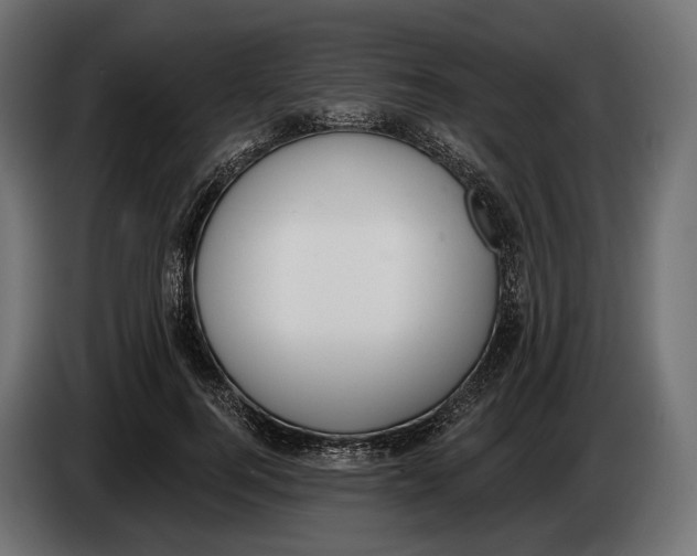 X0000083530744200703021552