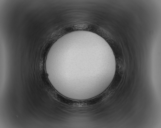 X0000083530745200703021552