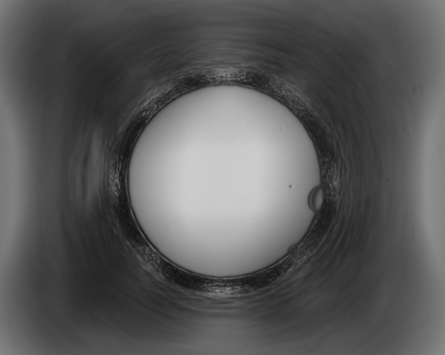 X0000083530746200703021552