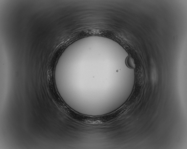 X0000083530747200703021552