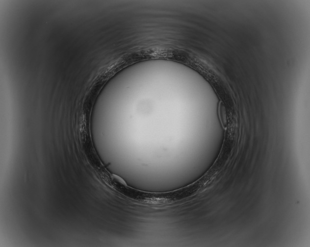 X0000083530748200703021552