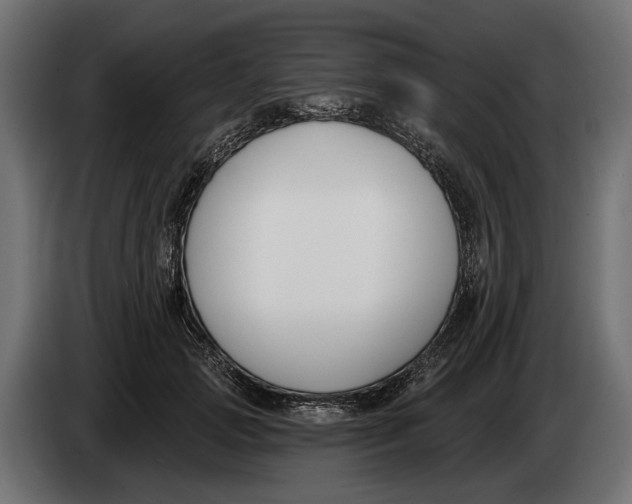 X0000083530749200703021552