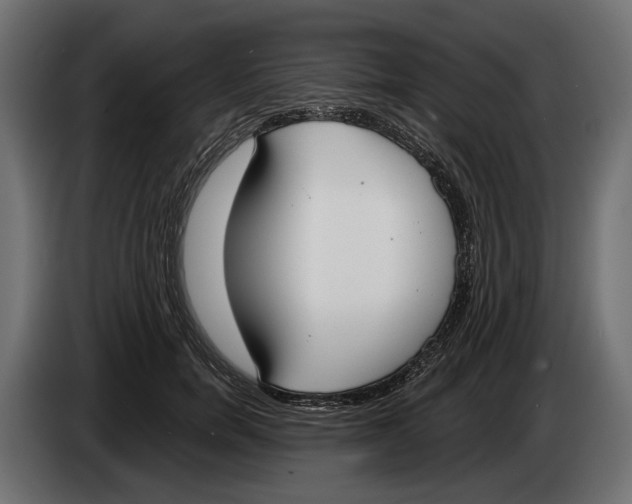 X0000083530750200703021552